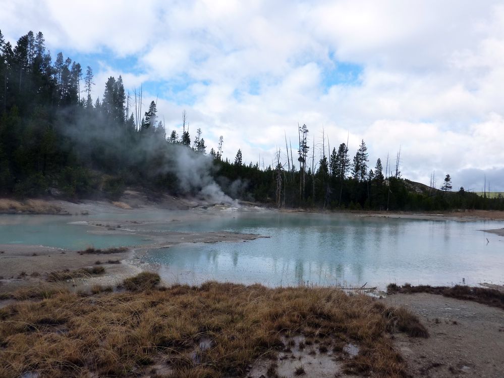 Yellowstone Norris Geyser (97).JPG